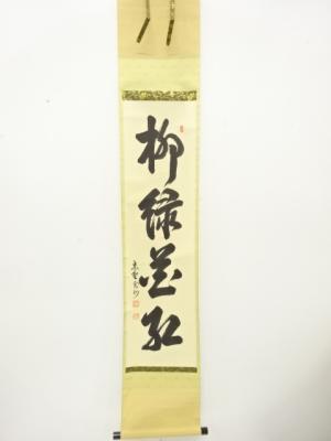 前大徳　長谷川寛州筆　「柳緑花紅」　一行書　肉筆紙本掛軸